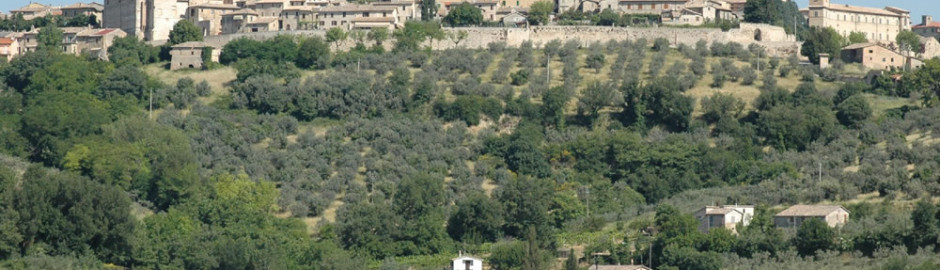 Montefalco - panorama