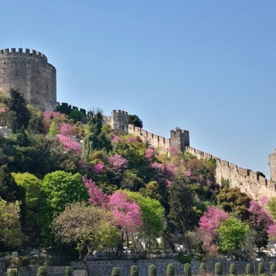 istanbul green heart